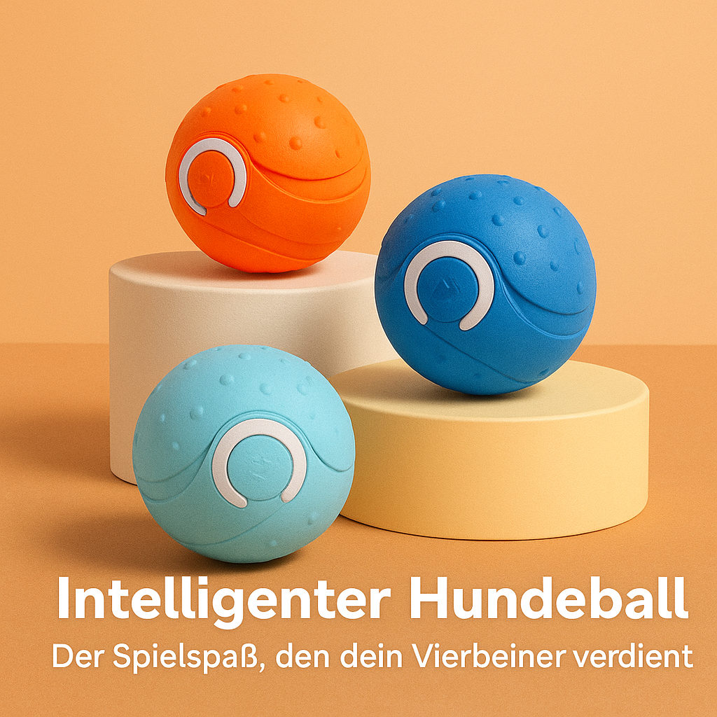 Smart Play Ball – Interaktives Haustierspielzeug
