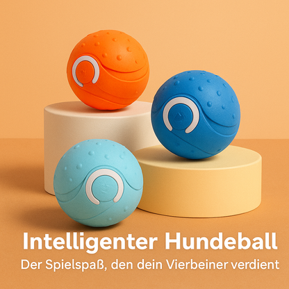 Smart Play Ball – Interaktives Haustierspielzeug