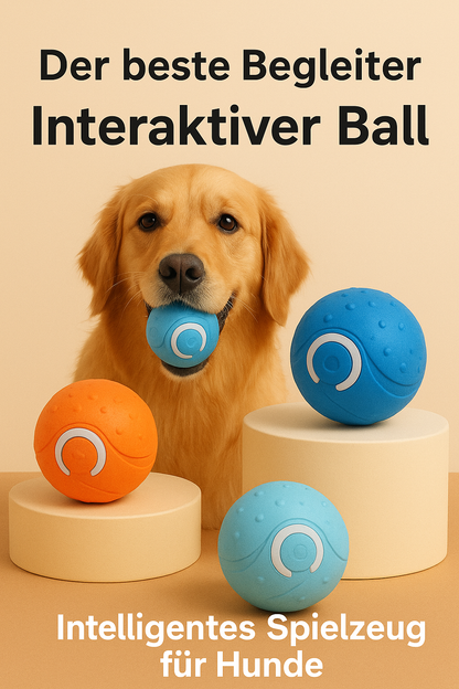 Smart Play Ball – Interaktives Haustierspielzeug